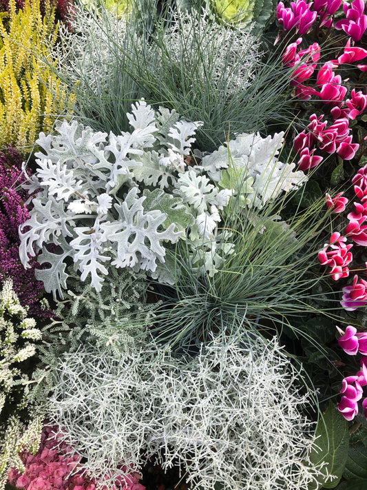 Silver Mixed Bedding