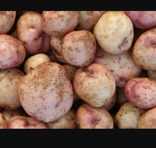 Kerrs Pink Potatoes