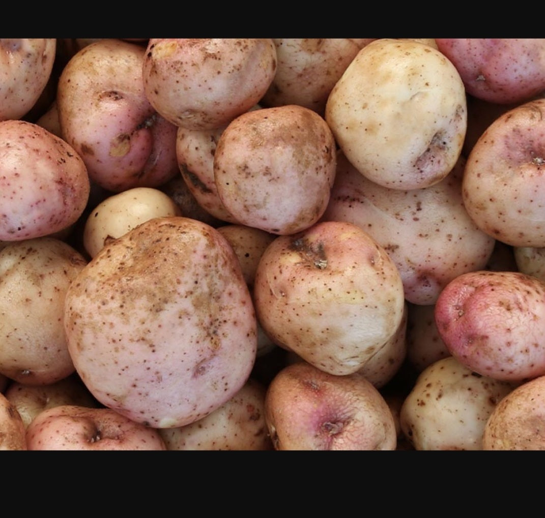 Kerrs Pink Potatoes