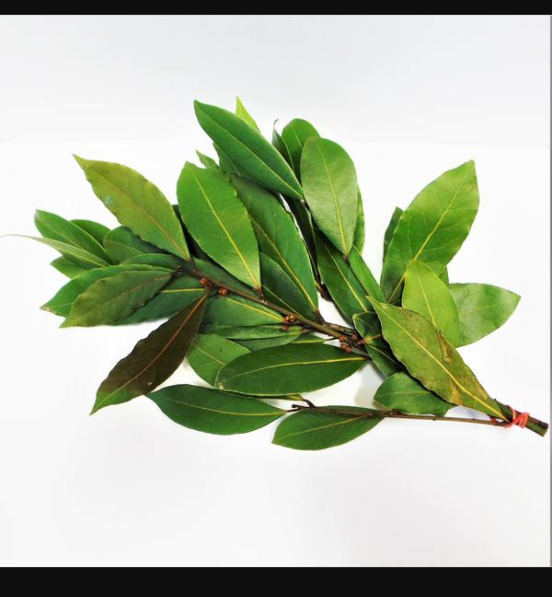 Fresh Bay Leaf 50g
