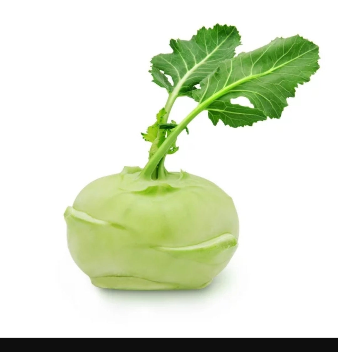 Kohl Rabi