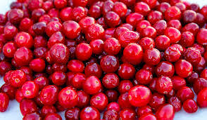 Cranberries (340g)