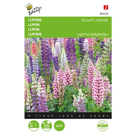 Lupin Russell’s Hybrids, mixed