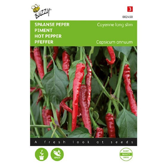 Hot pepper Cayenne long slim